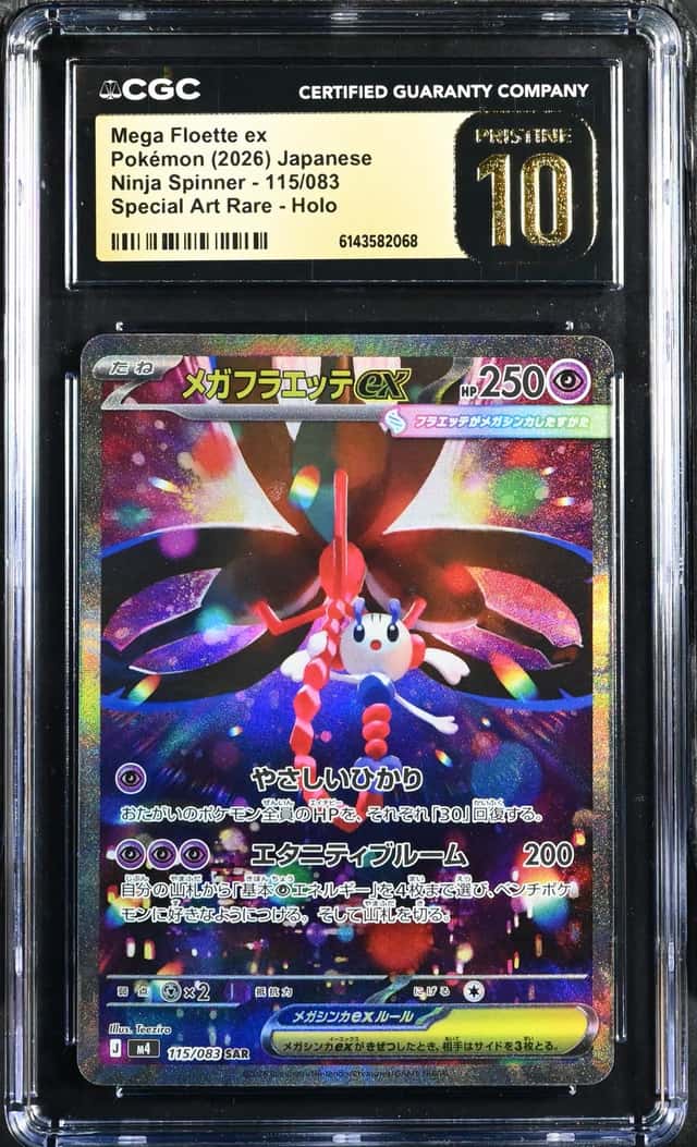 MEGA FLOETTE ex
