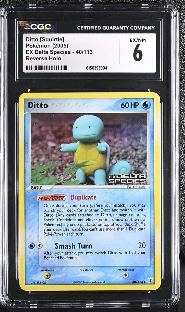 Ditto [Squirtle]