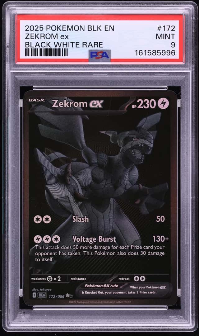 ZEKROM ex