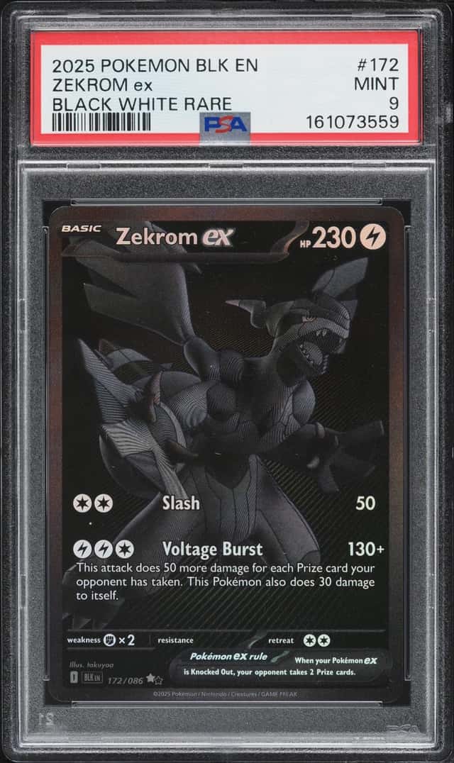 ZEKROM ex