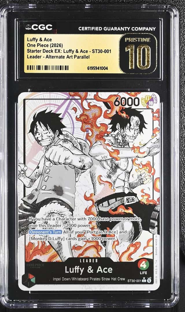Luffy & Ace