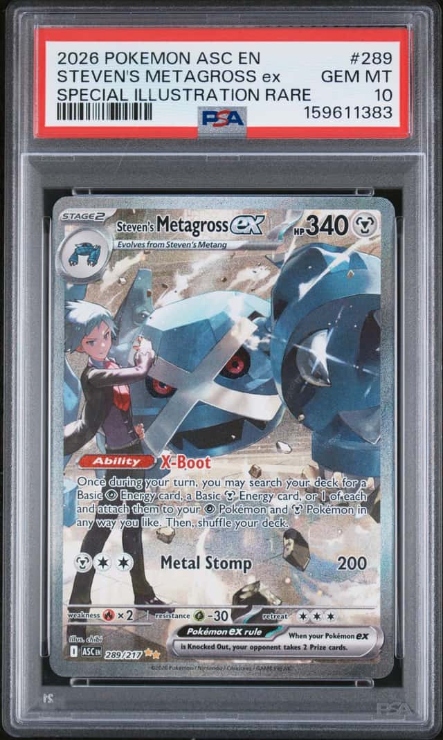 STEVEN'S METAGROSS ex
