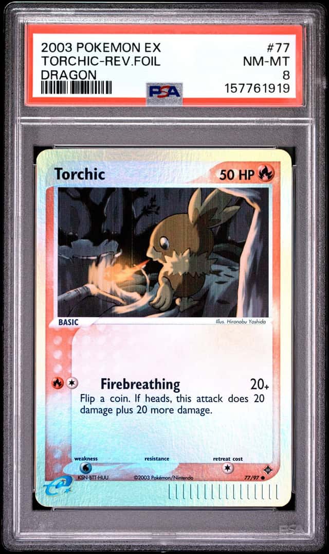Torchic