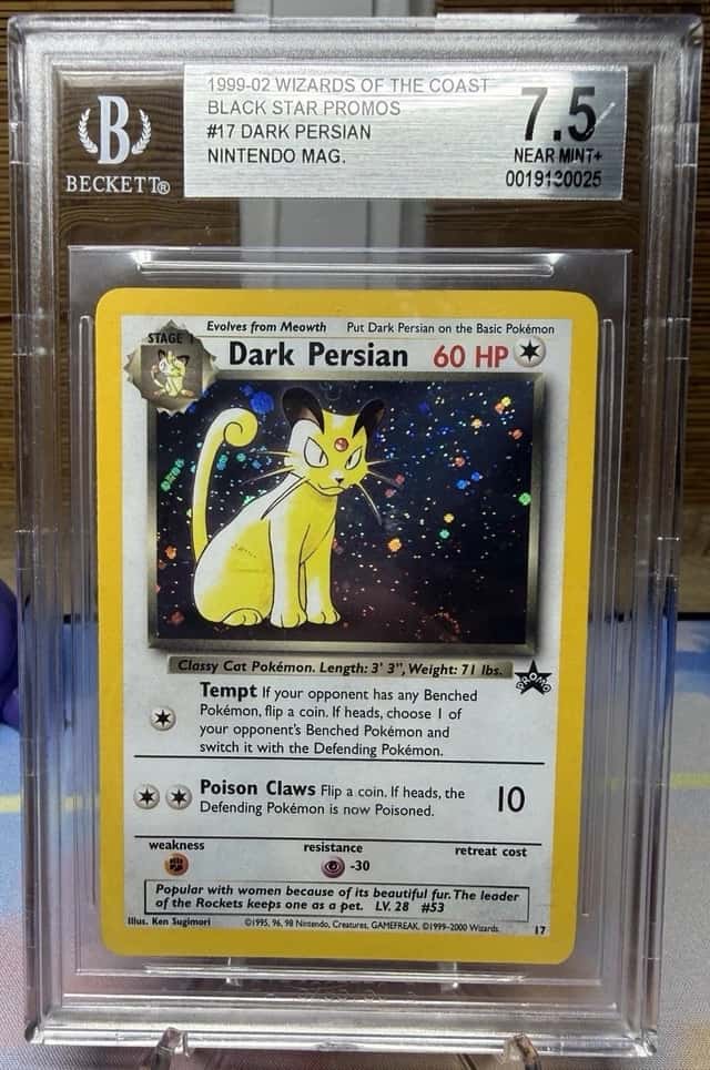 Dark Persian