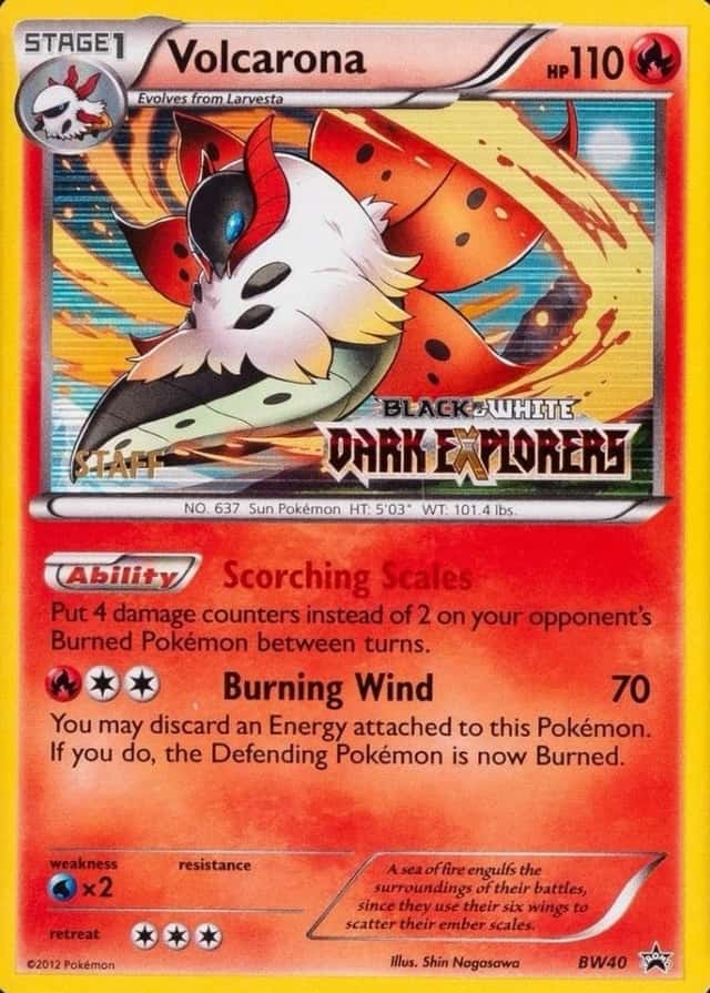 Holo · Prerelease