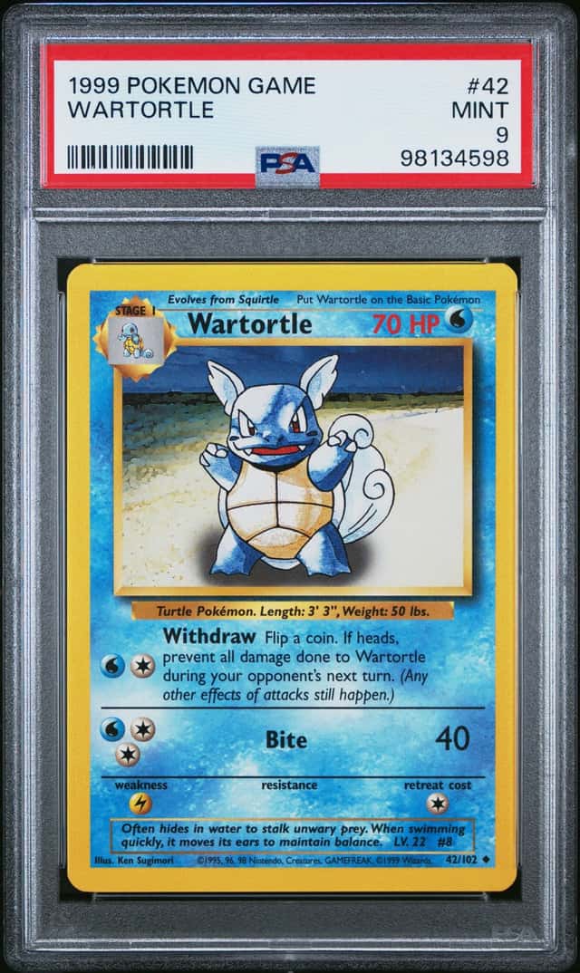 Wartortle