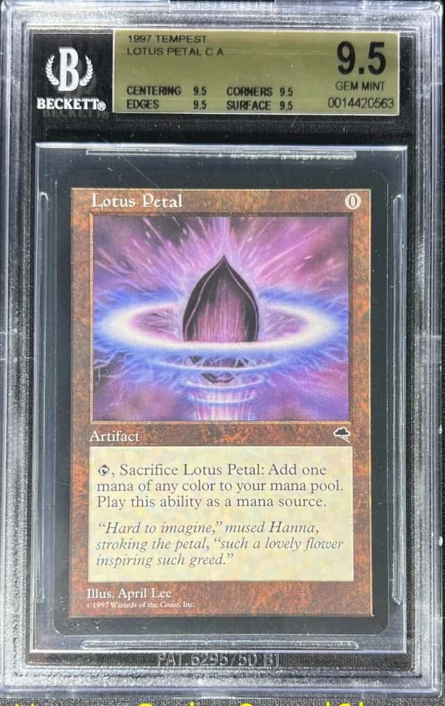 Lotus Petal