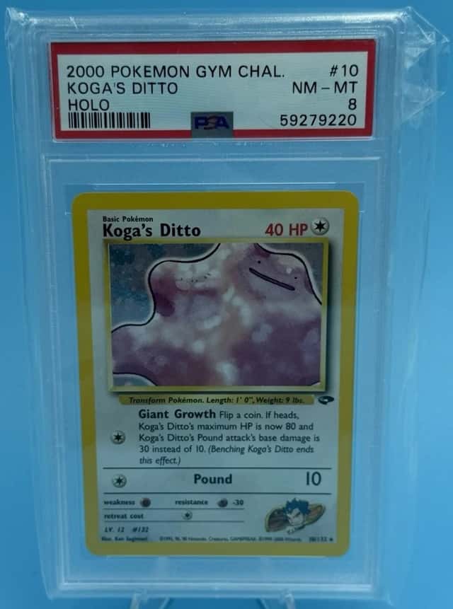 Koga's Ditto