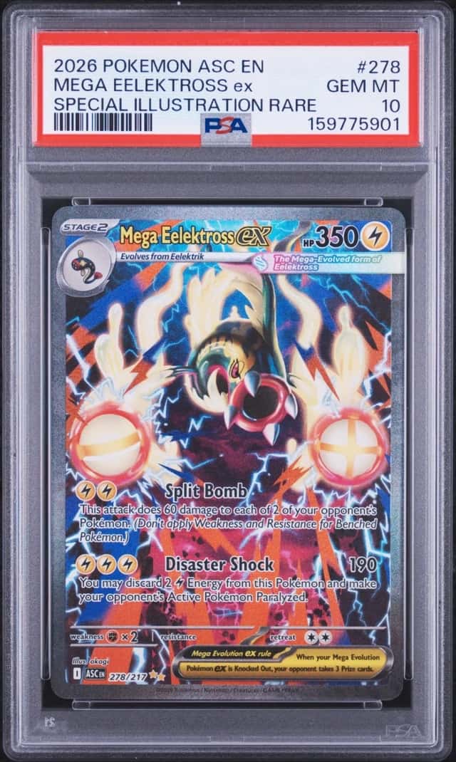MEGA EELEKTROSS ex