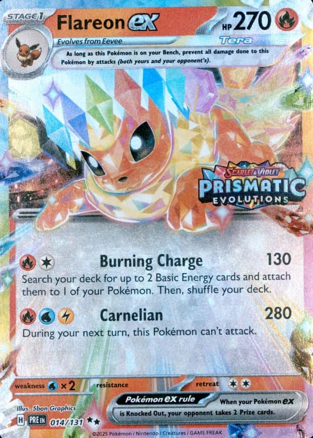Holo · Box Exclusive Surprise