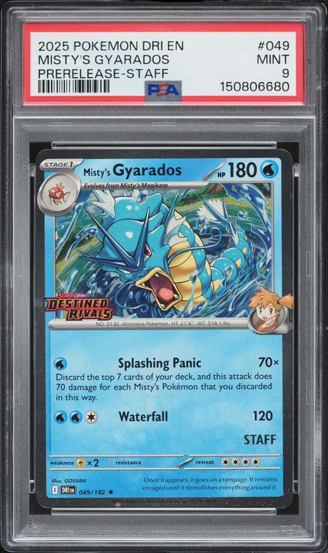 Misty's Gyarados