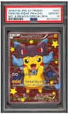 Poncho-Wearing Pikachu