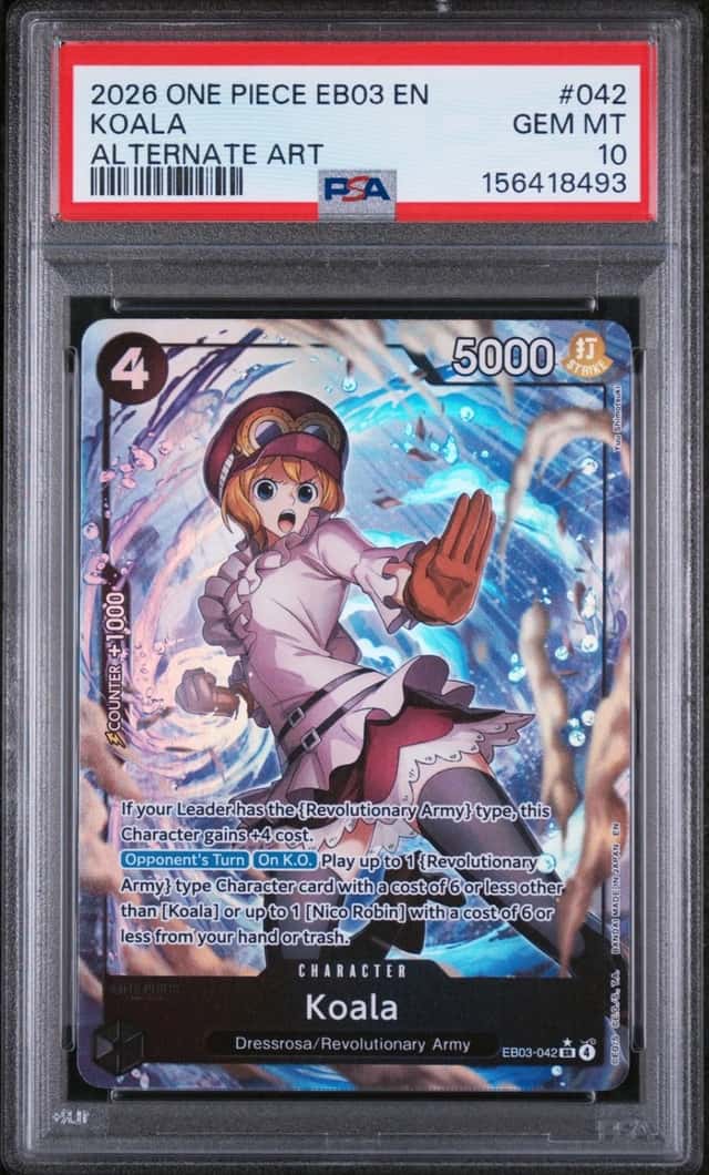 Koala
