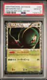 Meganium