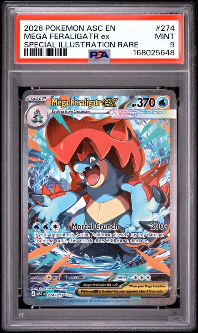 MEGA FERALIGATR ex