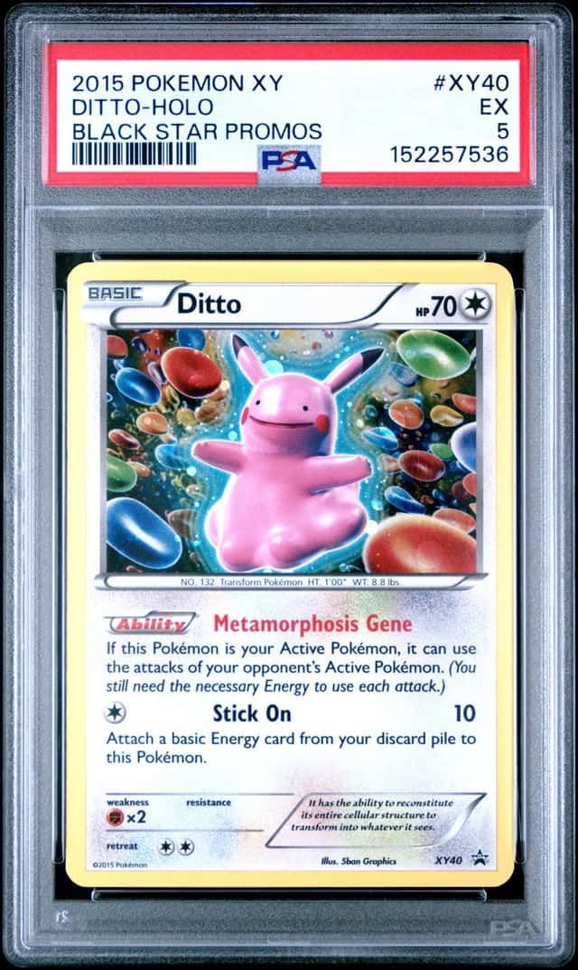 Ditto