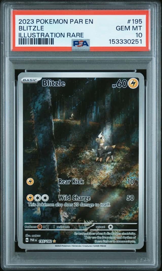 Blitzle