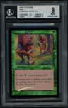 Llanowar Elves C
