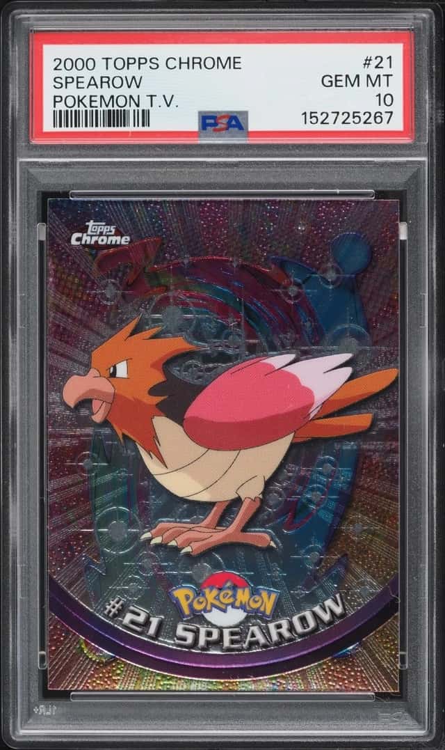 Spearow