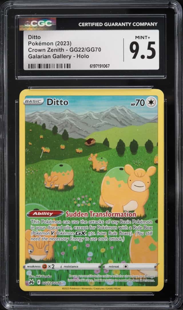 Ditto