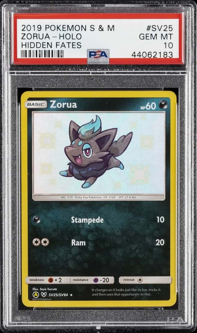 Zorua