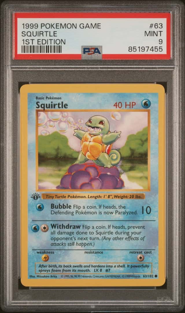 Squirtle