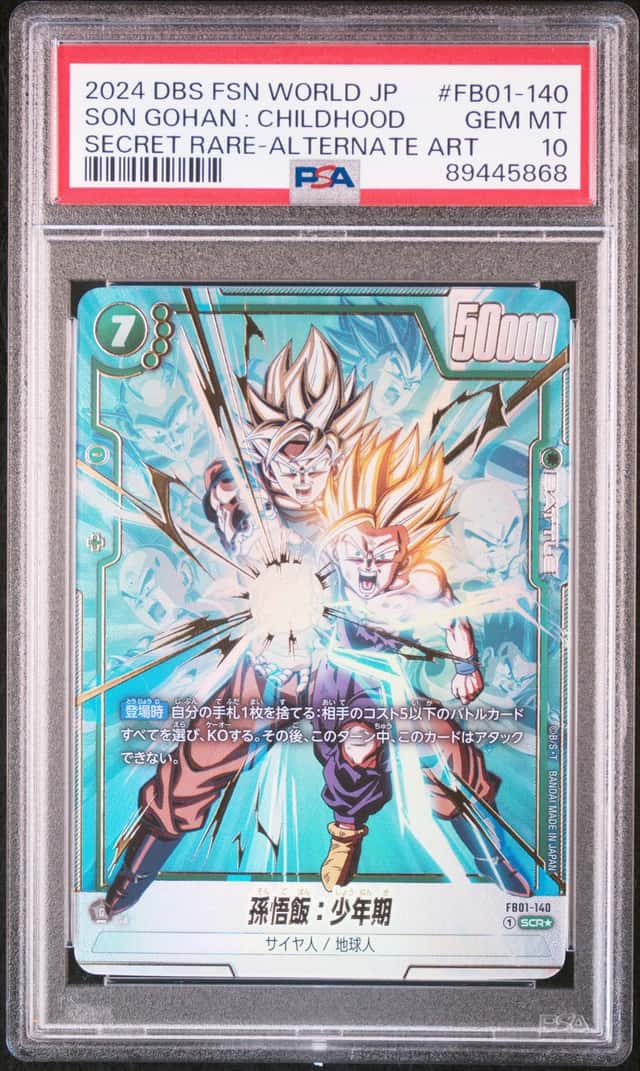 Son Gohan : Childhood