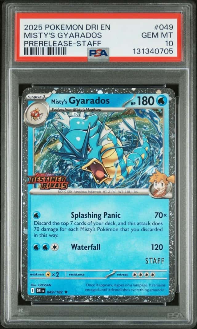 Misty's Gyarados