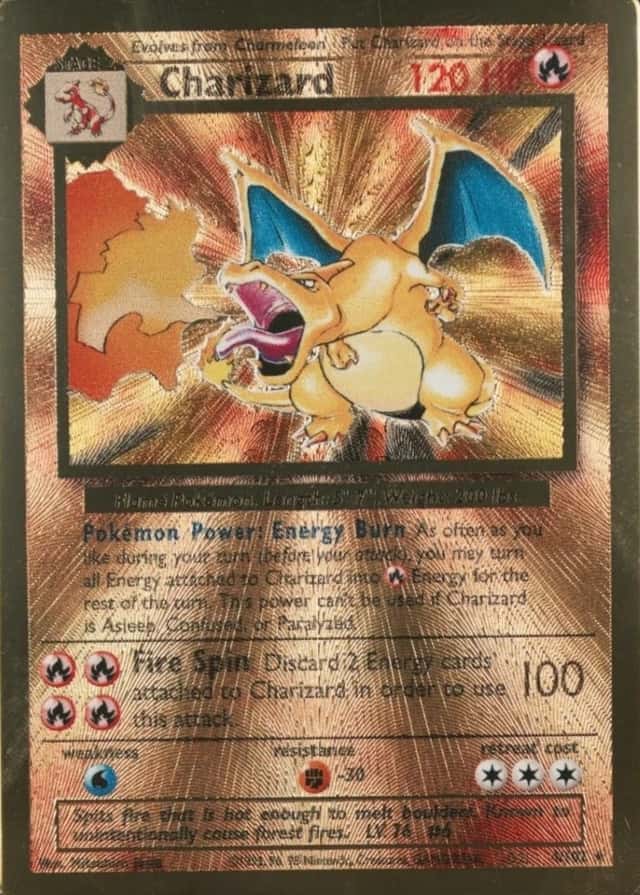Holo · Premium Collection