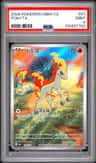 Ponyta