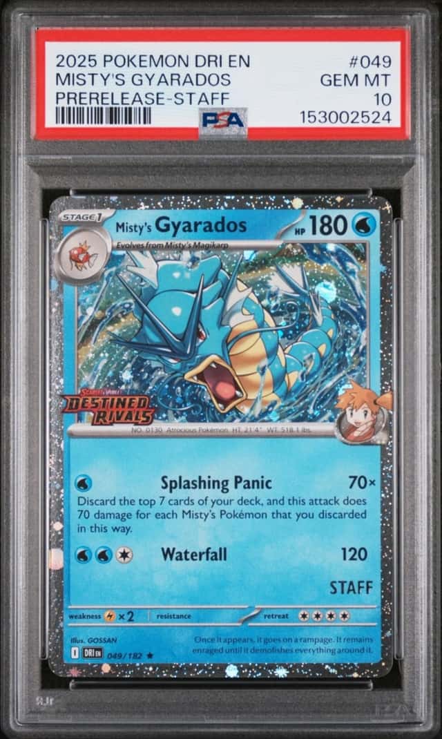 Misty's Gyarados
