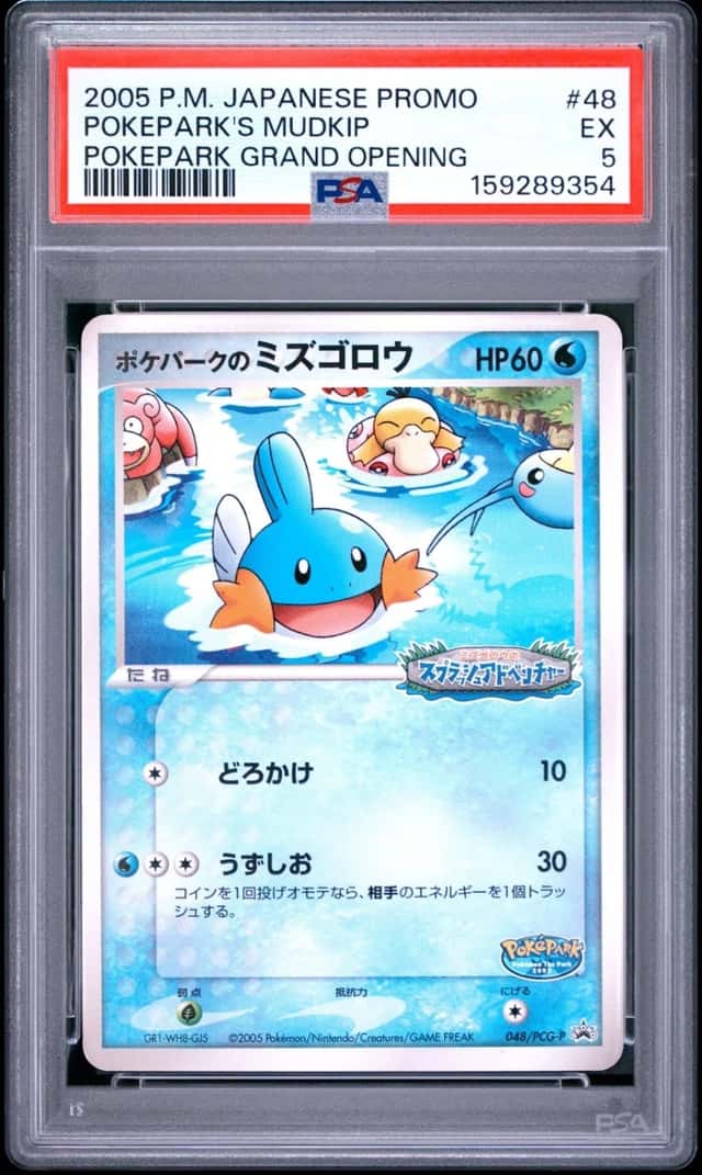 Pokepark's Mudkip