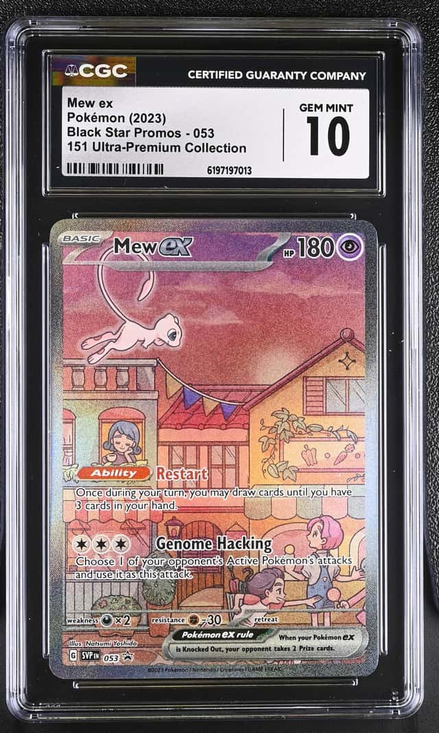 MEW ex