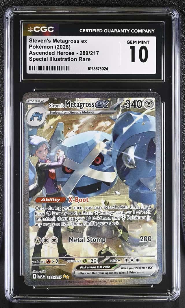 STEVEN'S METAGROSS ex