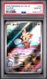 Lillipup