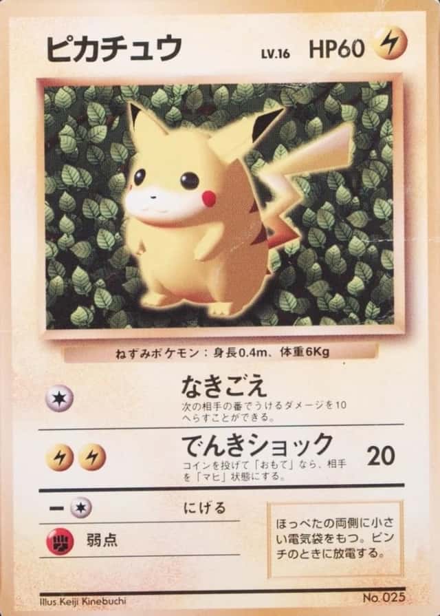 Non-Holo · Non-Glossy · Easily How Play To Understand