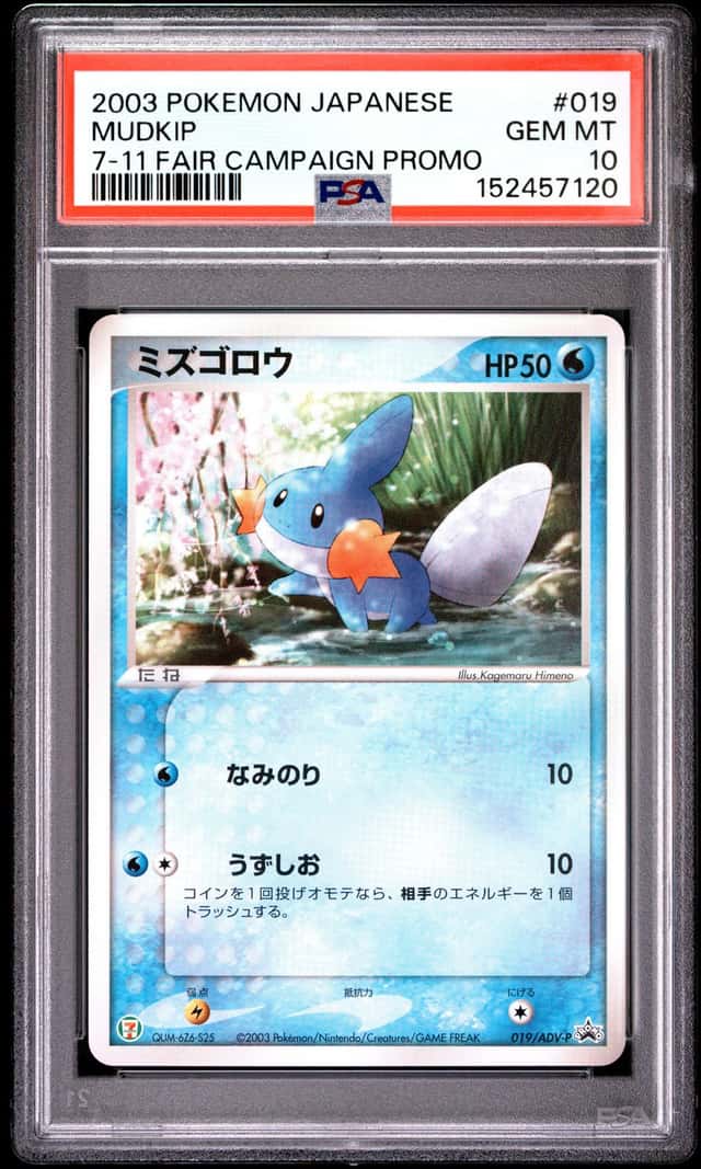Mudkip