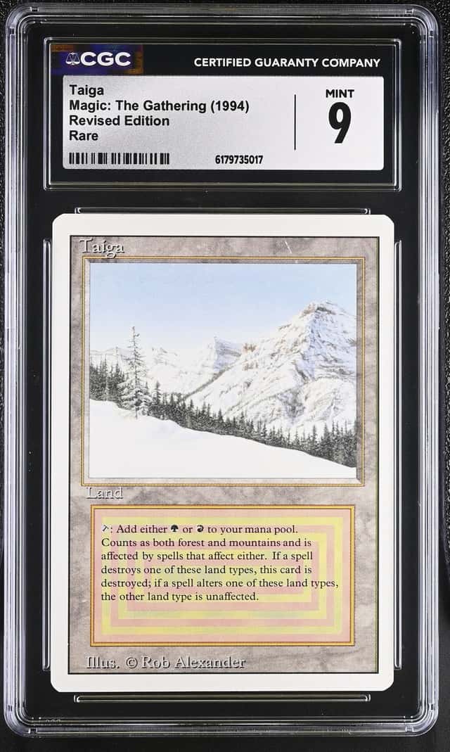 Taiga