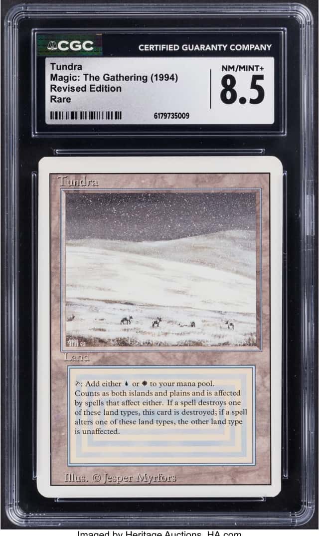 Tundra