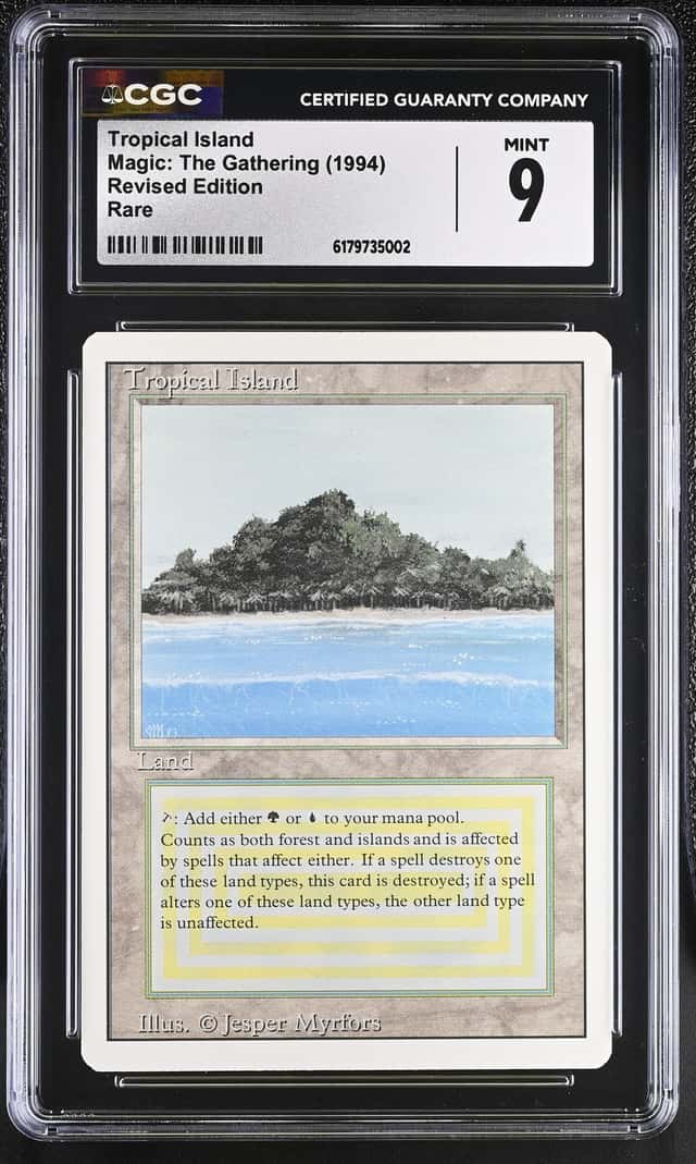 Tropical Island