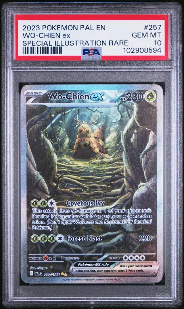 WO-CHIEN ex