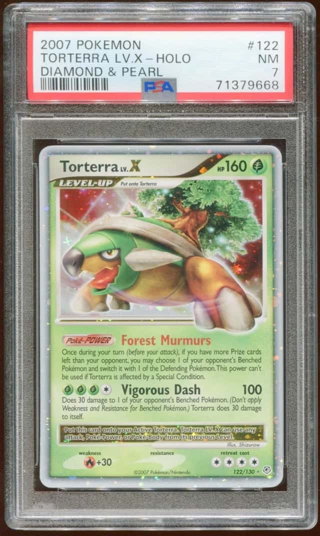 TORTERRA LV.X