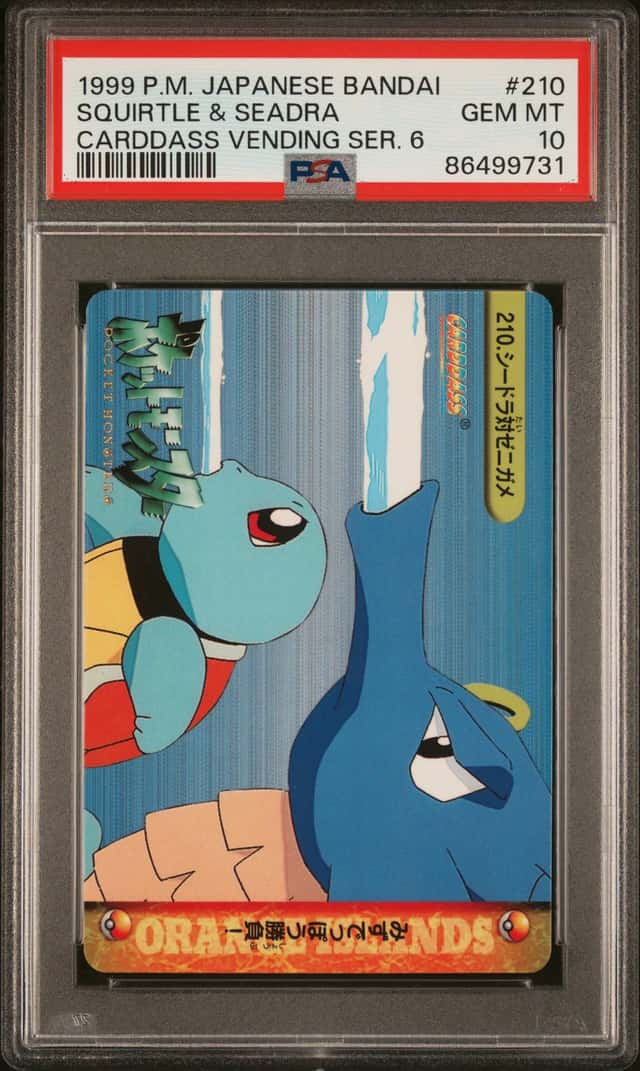 Squirtle & Seadra