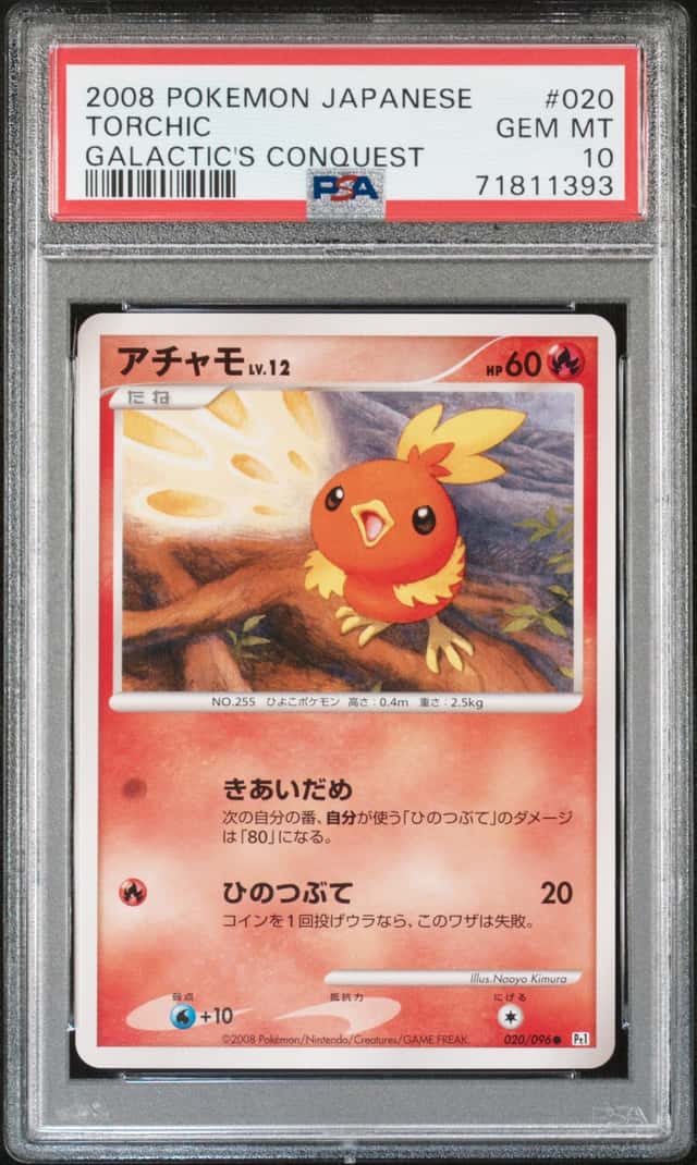 Torchic