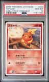 Torchic
