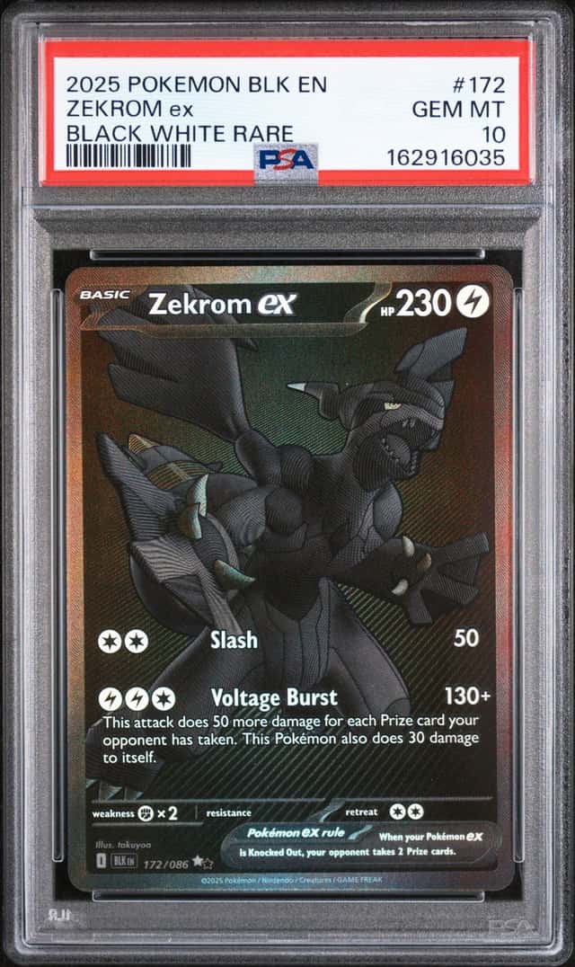 ZEKROM ex