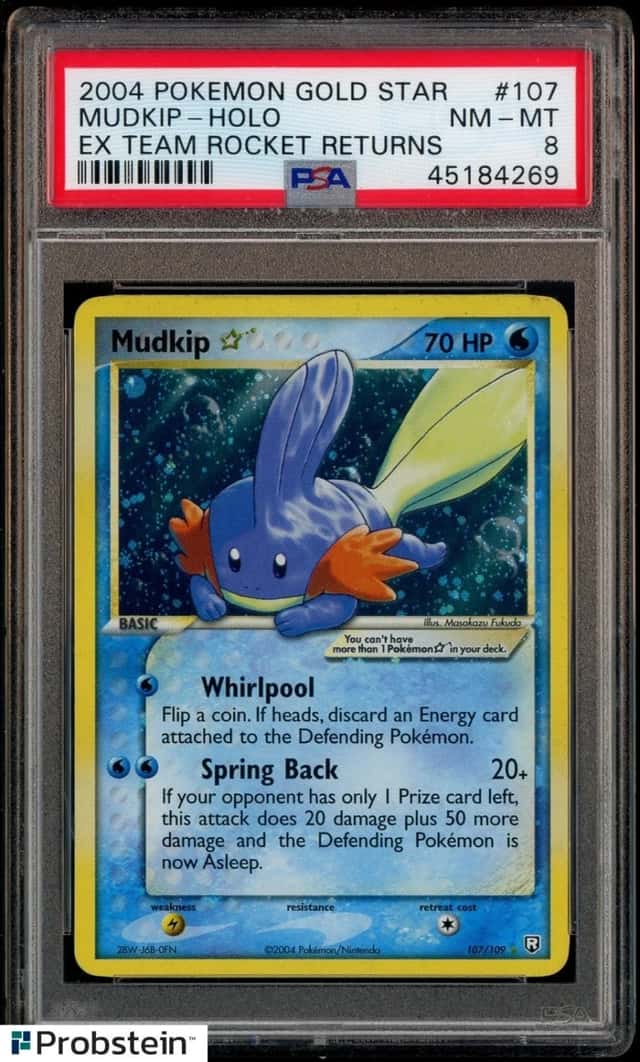 Mudkip
