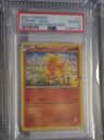 Torchic