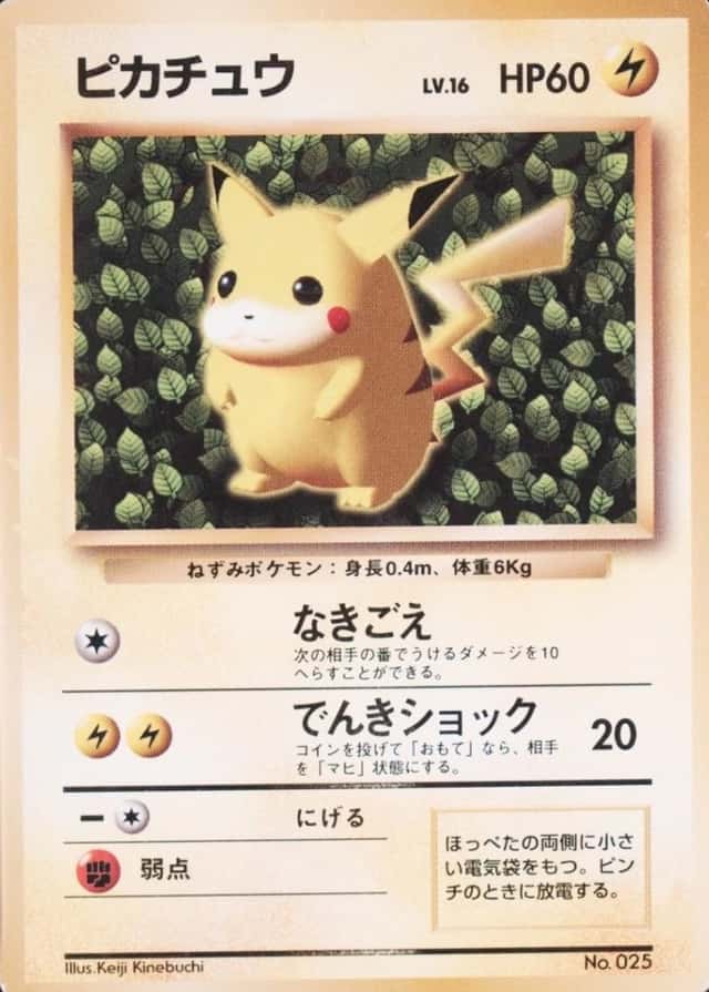 Non-Holo · Non-Glossy · Easily How Play To Understand