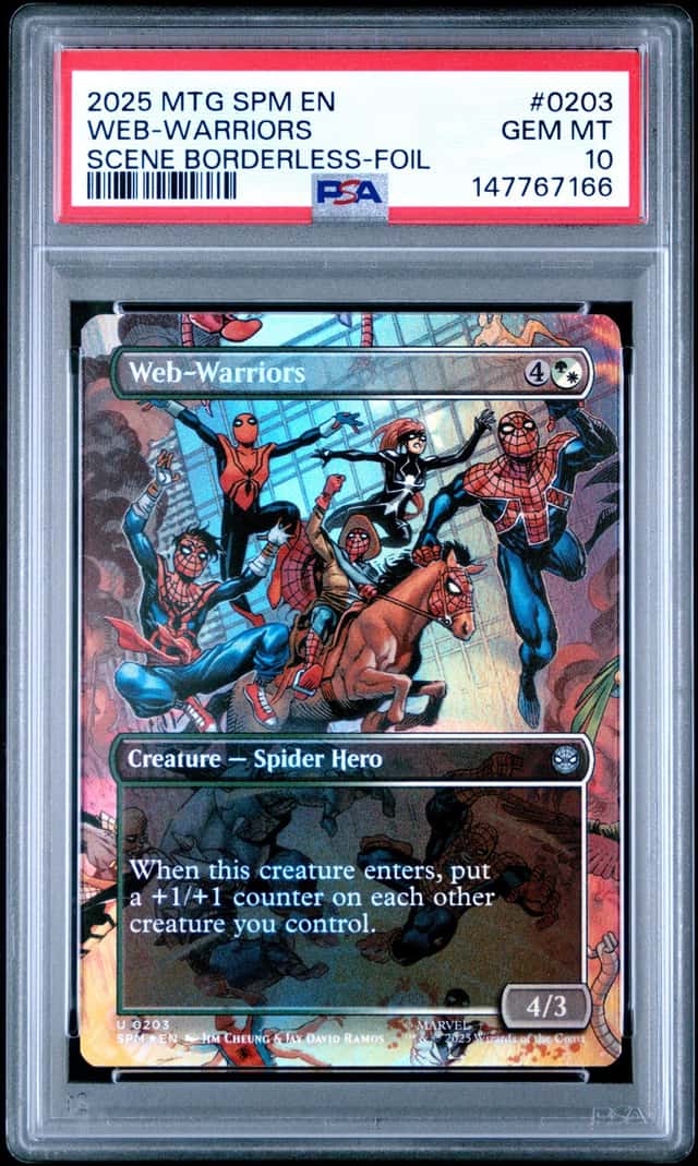 Web-Warriors